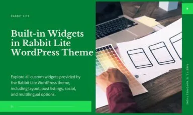 Free WordPress Widgets Available in Rabbit Lite Theme