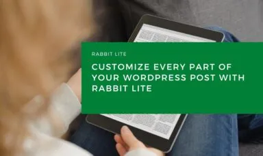 Customize Every Part of Your WordPress Post with Rabbit Lite