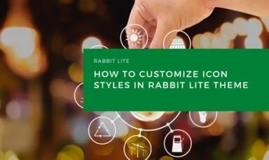 How to Customize Icon Styles in Rabbit Lite Theme