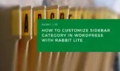 How to Customize Sidebar Category in WordPress with Rabbit Lite
