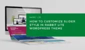 How to Customize Slider Style in Rabbit Lite WordPress Theme