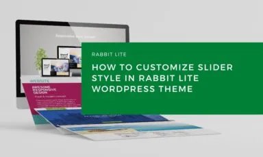 How to Customize Slider Style in Rabbit Lite WordPress Theme