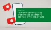 How to Customize the WordPress Comments Section with Rabbit Lite