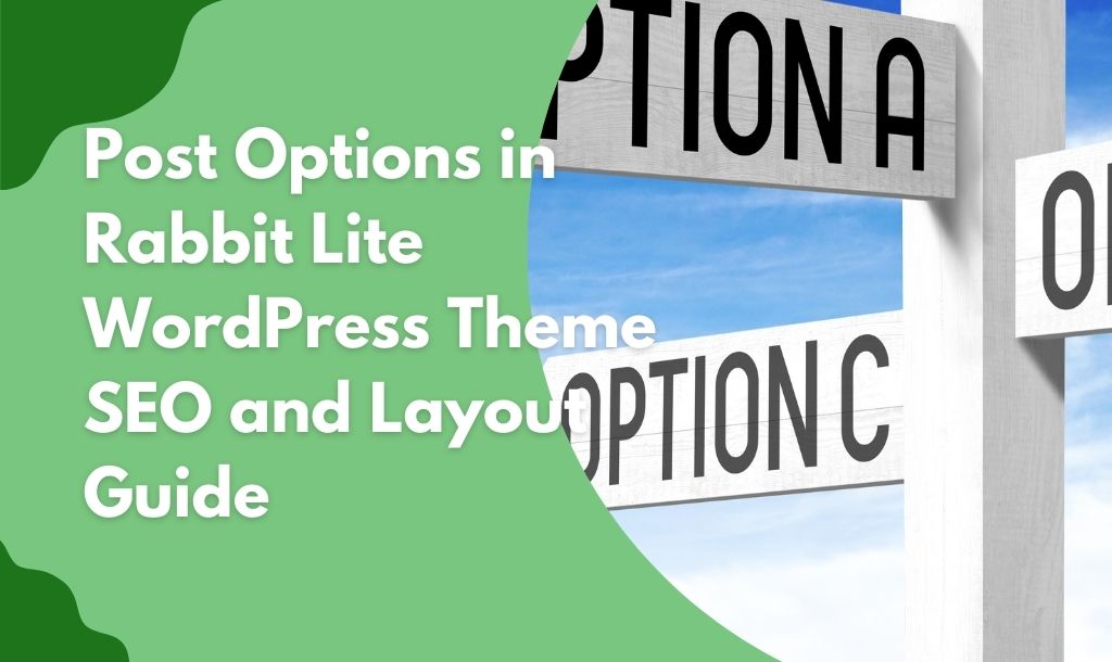 Post Options in WordPress Guide to SEO Schema and Layout