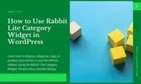 WordPress Category Widget in Rabbit Lite Theme