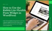 Flexible Posts Widget WordPress in Rabbit Lite Theme
