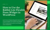 Flexible Posts Widget WordPress in Rabbit Lite Theme