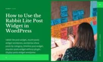 WordPress Post Widget Available in Rabbit Lite Theme