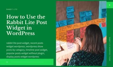WordPress Post Widget Available in Rabbit Lite Theme