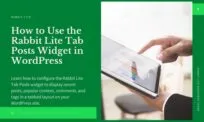 WordPress Tab Posts Widget Available in Rabbit Lite Theme