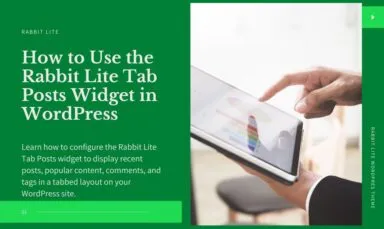 WordPress Tab Posts Widget Available in Rabbit Lite Theme