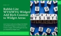 WYSIWYG Widget WordPress in Rabbit Lite Theme