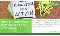 How to Show CTA Button in Rabbit Lite Theme